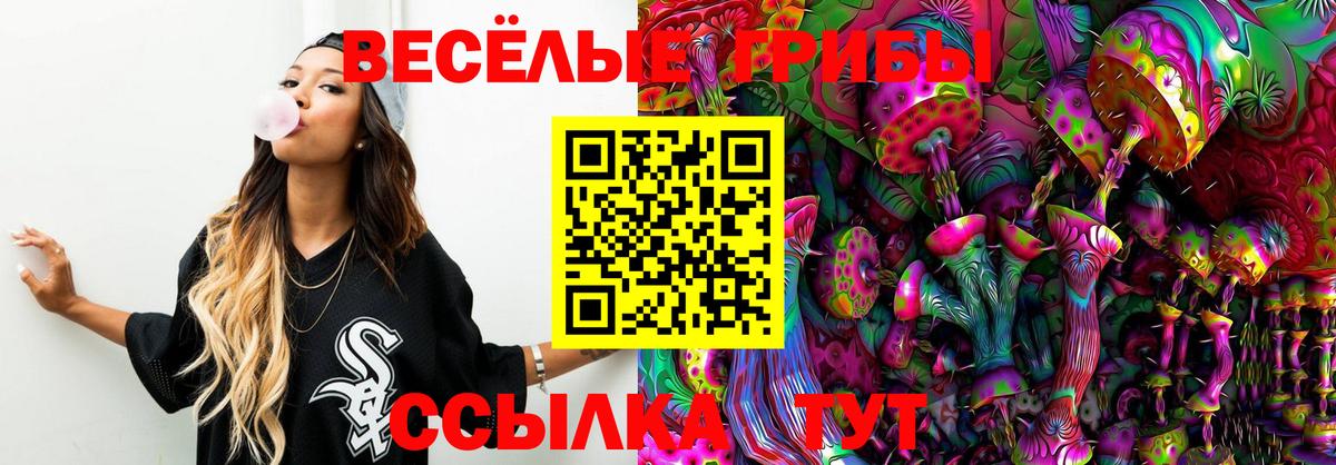 где можно купить   Псилоцибиновые грибы прущие грибы  Вход с VPN  Гусиноозёрск 