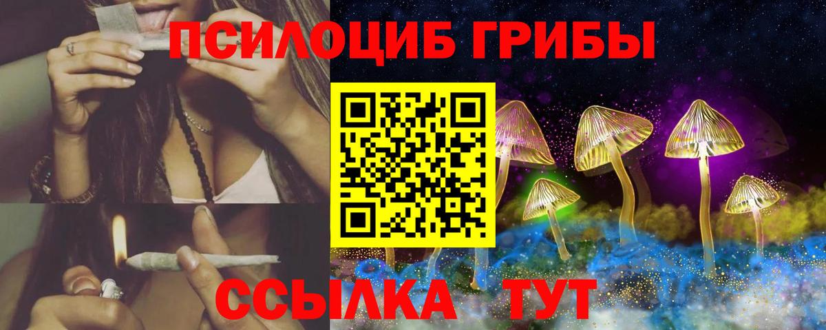 Галлюциногенные грибы MAGIC MUSHROOMS Гусиноозёрск